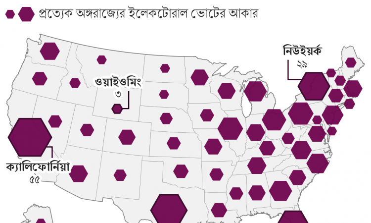 যুক্তরাষ্ট্রের নির্বাচনে ইলেকটোরাল কলেজ ভোটের ভূমিকা কী